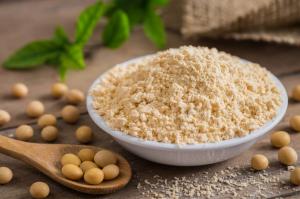 Soy Protein Market