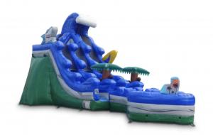 Big Inflatable Slides