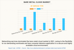 Bare Metal Cloud Market Segment
