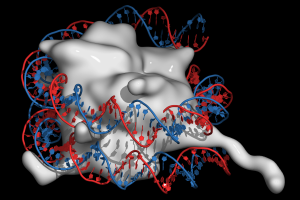 Epigenetics 2