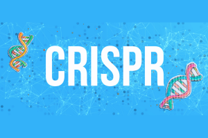 CRISPR 1