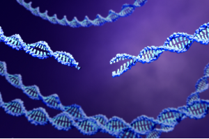 CRISPR 2