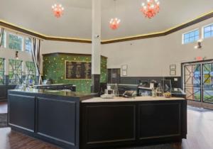 cannabis weed dispensary store in Powell