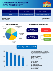 Career Path Assessment Report for the Individual