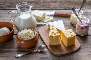 Dairy Nutrition Market Outlook