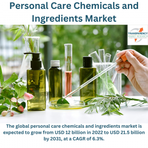 Global Personal Care Chemicals and Ingredients Market Poised to Reach USD 21.5 billion by 2031, at a CAGR of 6.3% – TMR