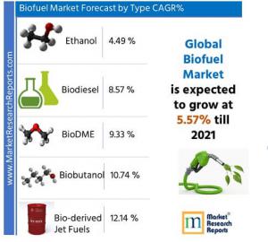 Global Biofuel Market Forecast by Fuel Type 2021