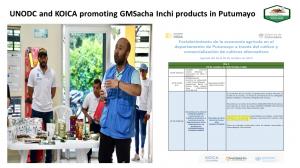 GMSacha Inchi $QEDN signed agreement with Coomultiagro managed by UNODC and funded by KOICA and Nestle updates