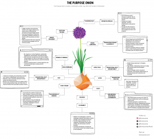 This is an image of Brand Purpose visualized as an onion, entitled by Asher Jay as the Purpose Onion.