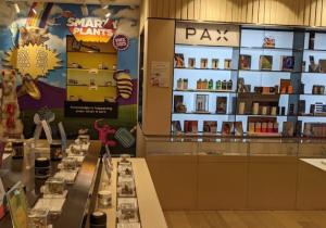 Cannabis Weed dispensary Store from West Hollywood