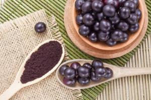 Global Acai Berry Market Outlook