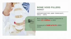 How do patient demographics affect the bone void fillers market?