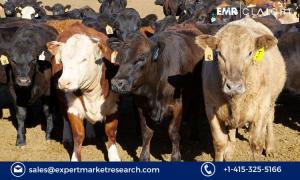 Bovine Respiratory Disease Treatment Market