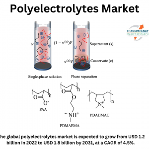 Polyelectrolytes Market (Type: Polycations, Polyanions, Polysalts; Source: Natural, Synthetic, Chemically Modified; Composition: Homopolymer, Copolymer) - Global Industry Analysis, Size, Share, Growth, Trends, and Forecast, 2023-2031