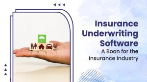 Insurance Underwriting Software Market