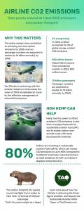 Air travel carbon emissions infographic