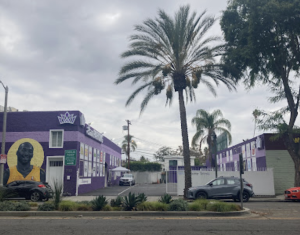 best cannabis weed disepnsary store in Los Angeles