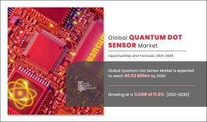 Quantum Dot Sensor Market Size