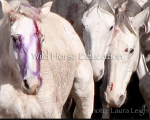 Injuries after accident in 2016