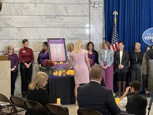 Kentucky’s Statewide Domestic Violence Coalition, ZeroV, Publishes Recommendations for First Statewide DV Report