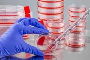 Cell Culture Market