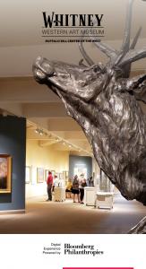 Image of a large bronze elk sculpture showing its neck and head with antlers. It is standing inside an art gallery at the Whitney Western Art Museum with visitors looking at artwork in the background.