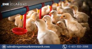 Feed Testing Market
