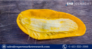 African Mango Seed Extract Market