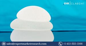 Silicone Elastomers Market