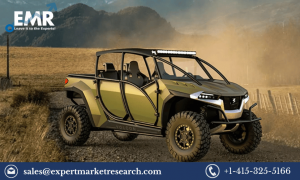 Australia and New Zealand Side-By-Side UTVs Market