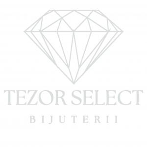 Tezor Logo