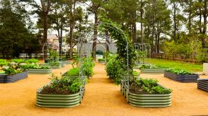 Vego Garden’s Raised Beds Make Gardening Easier