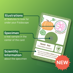 Three features: illustrations, specimen, scientific information