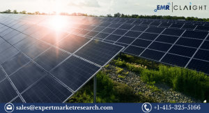 India Solar Photovoltaic (PV) Market