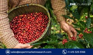 Organic Coffee Market