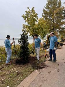 50 trees were planted in the ground on a beautiful day at White Rock Lake.
