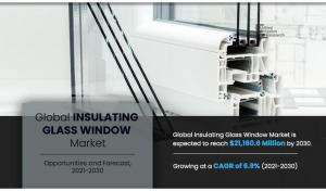 Insulating Glass Window Market Share