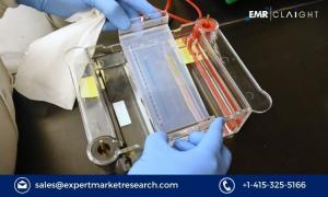 Electrophoresis Equipment and Supplies Market