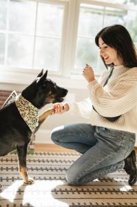 Introducing Juniper: The First Online Community and Website for Generation Z and Millennial Dog Parents