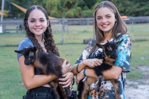 Children interacting with each other and twin baby goats Royal and Decatur