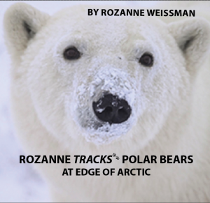 Wildlife Children’s Book Author Rozanne Weissman Debuts Timely New REAL Polar Book