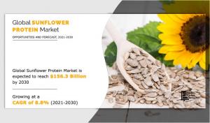 sunflower protein market