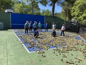 Men and women are on a blue, outdoor, community tennis court. They are surrounded by hundreds of dirty and degraded tennis balls that were collected during a community clean-up effort and sent to RecycleBalls for recycling.