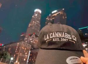 Weed dispensary store in LA