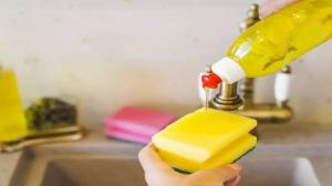 Dishwash Liquid Market