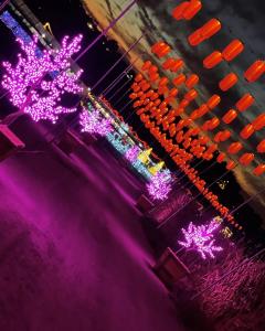Tanaka Farms Illuminates the Holidays with Hikari – A Festival of Lights