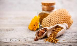 Bee Propolis Extract Market