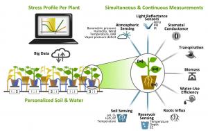 Plant Phenotyping Market