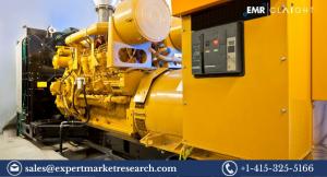 India Diesel Generator Market