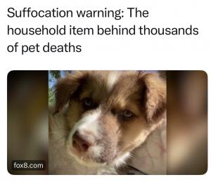 Prevent Pet Suffocation Spreads More Awareness About Pet Suffocation